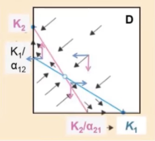 <p>What outcome of the Lotka-Volterra Model is represented in this graph, what does this mean for competition?</p>