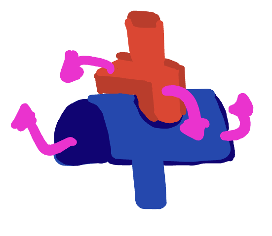 <p>saddle joint</p>