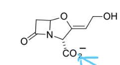 <p>Lactamase inhibitor, irreversible (break open the box then nucleophilic attack-attach for good)</p>