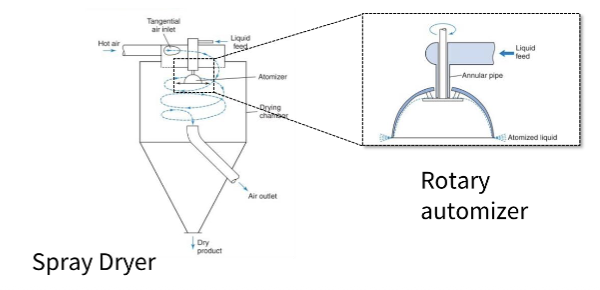<p><span>Liquid solution/suspension is atomised into small droplets and rapidly dried in hot air.<br>Evaporation is very quick due to the large surface area.<br><strong>Equipment </strong>includes an atomiser (nozzle or rotary), drying chamber, and exhaust air system.</span></p><p><span><br><strong>Produces:</strong><br>•fine powders<br>•spherical particles<br><strong>Used for:</strong><br>•inhalation powders<br>•amorphous dispersions</span></p>