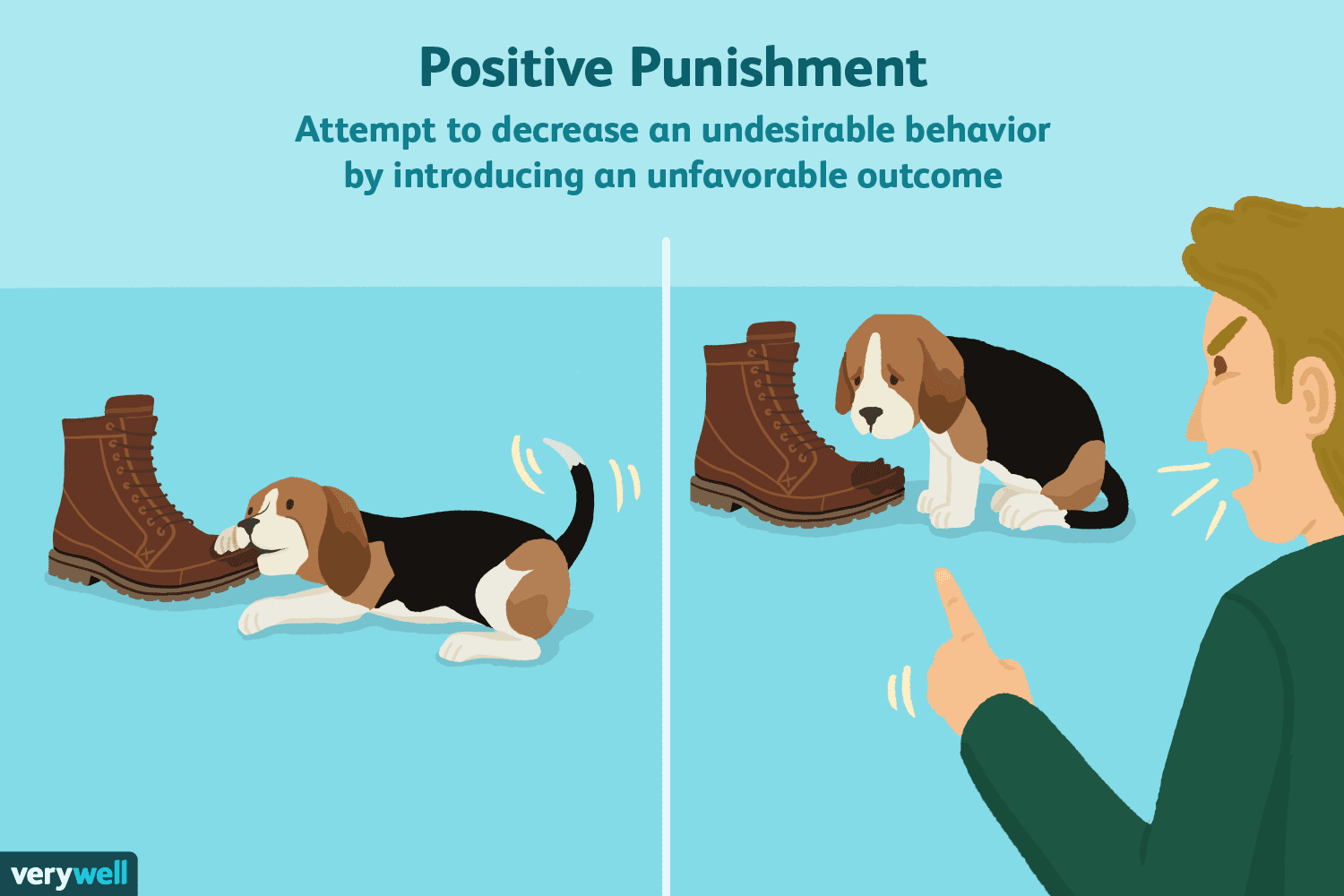 <p>An unpleasant stimulus is added after a behavior, making that behavior less likely to happen again 坏的加上</p>