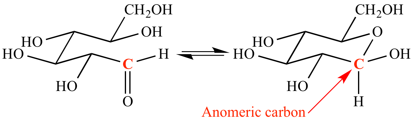 <p><strong><u>Reducing end </u></strong>- the <strong>end of a disaccharide or polysaccharide chain</strong> with a free_______ carbon </p>