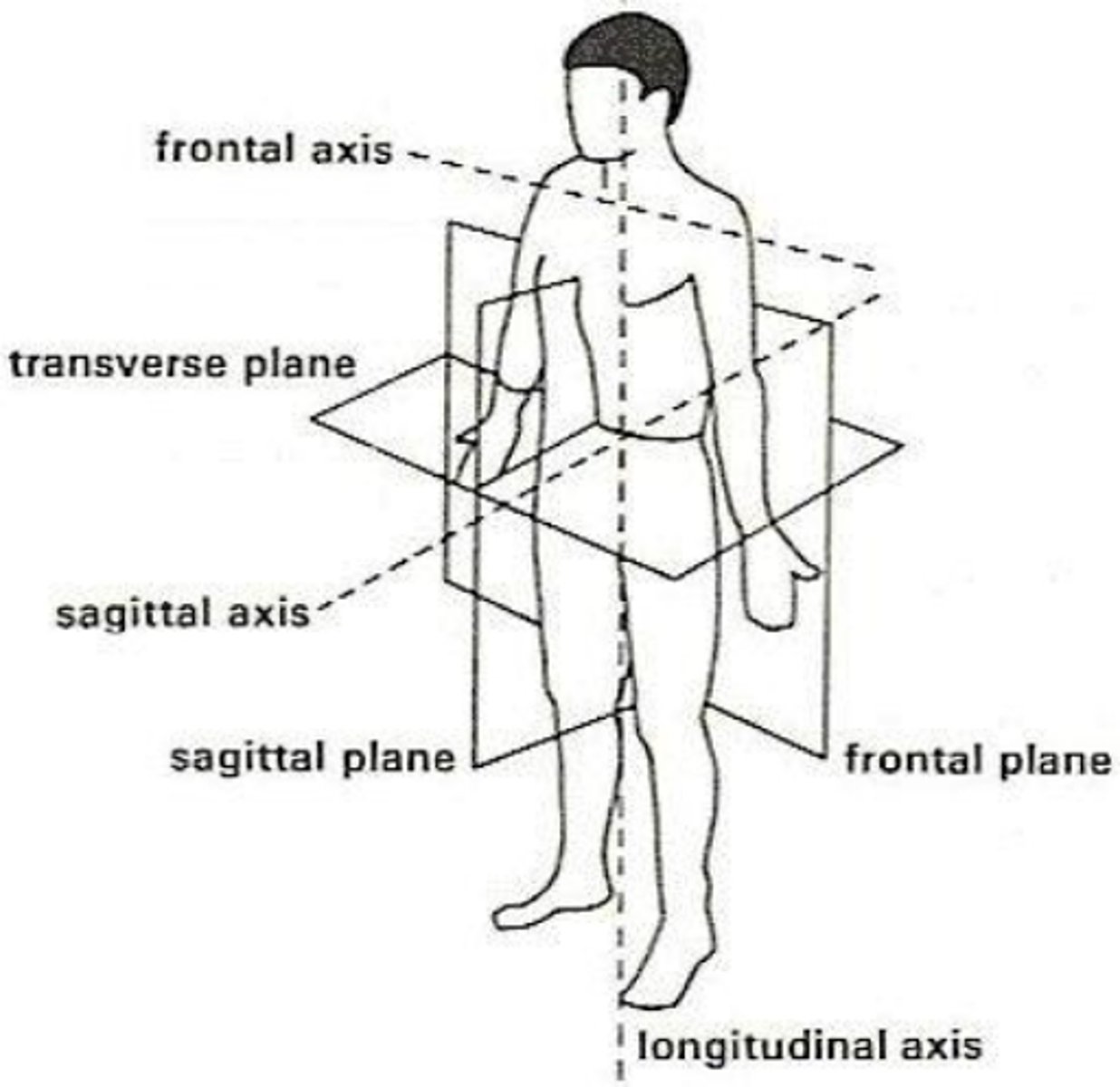 <p>Sagittal plane-- Frontal axis</p><p>Frontal plane-- Sagittal axis</p><p>Transverse plane-- vertical axis</p>