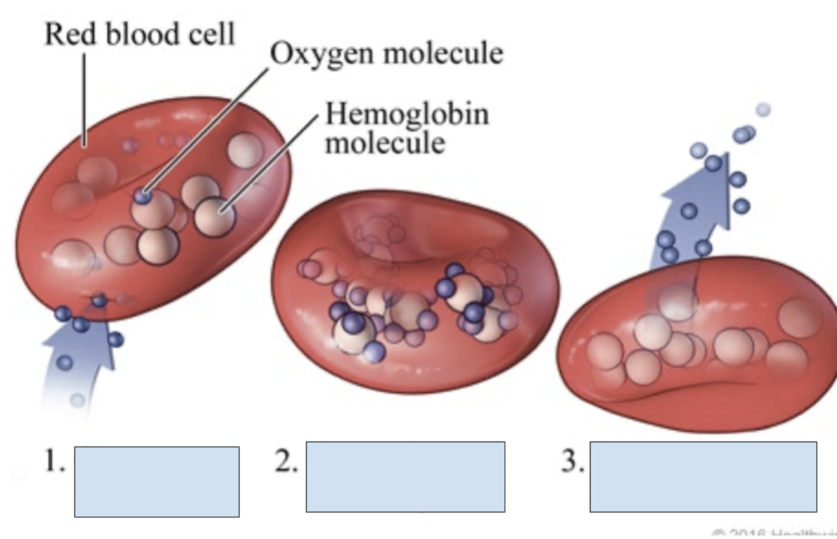 <p>What is happening in step 2?</p>