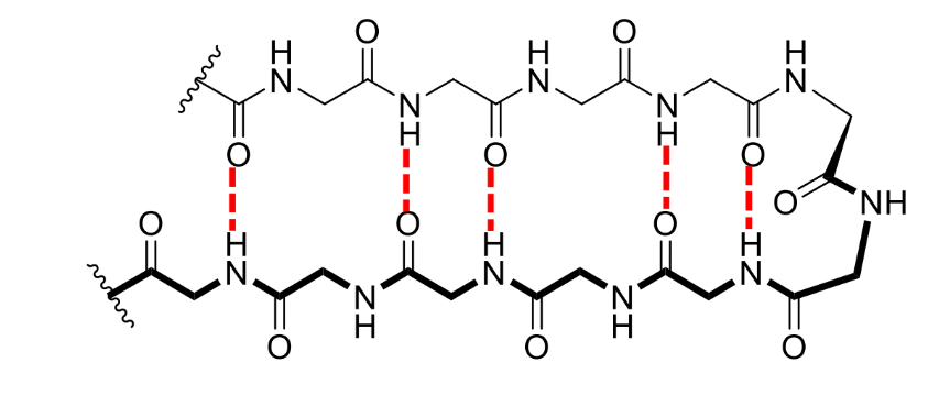 <p>in between the individual β-strands</p>