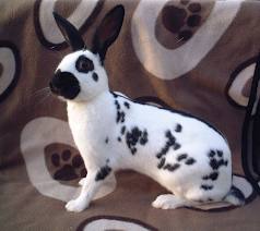 <p>A little round mark or dot on an animal is a _____.</p>