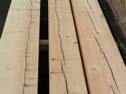 <p>longitudinal splits across growth rings resulting from uneven drying</p>