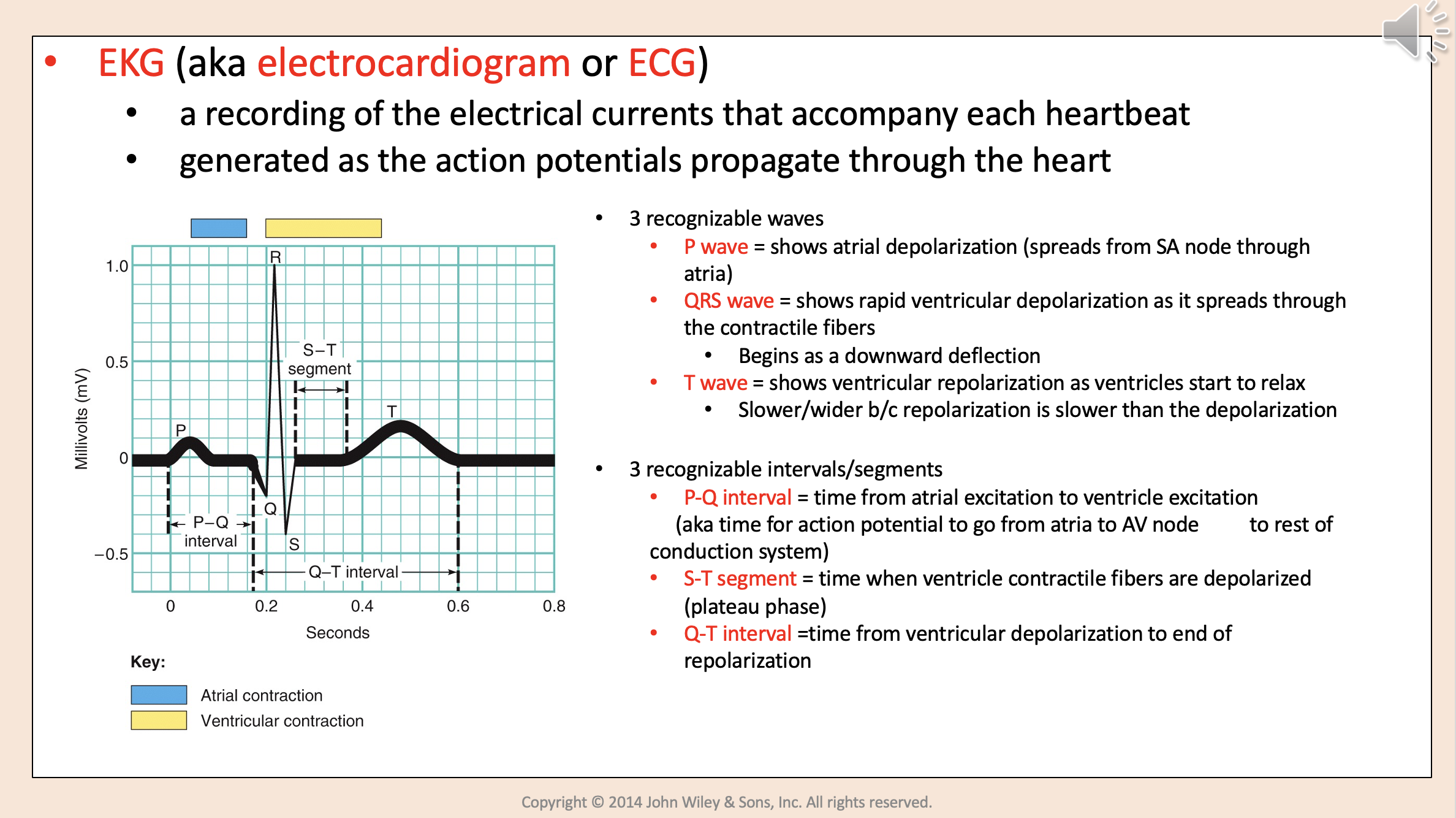<p><span style="color: rgb(255, 0, 0);">EKG</span></p>