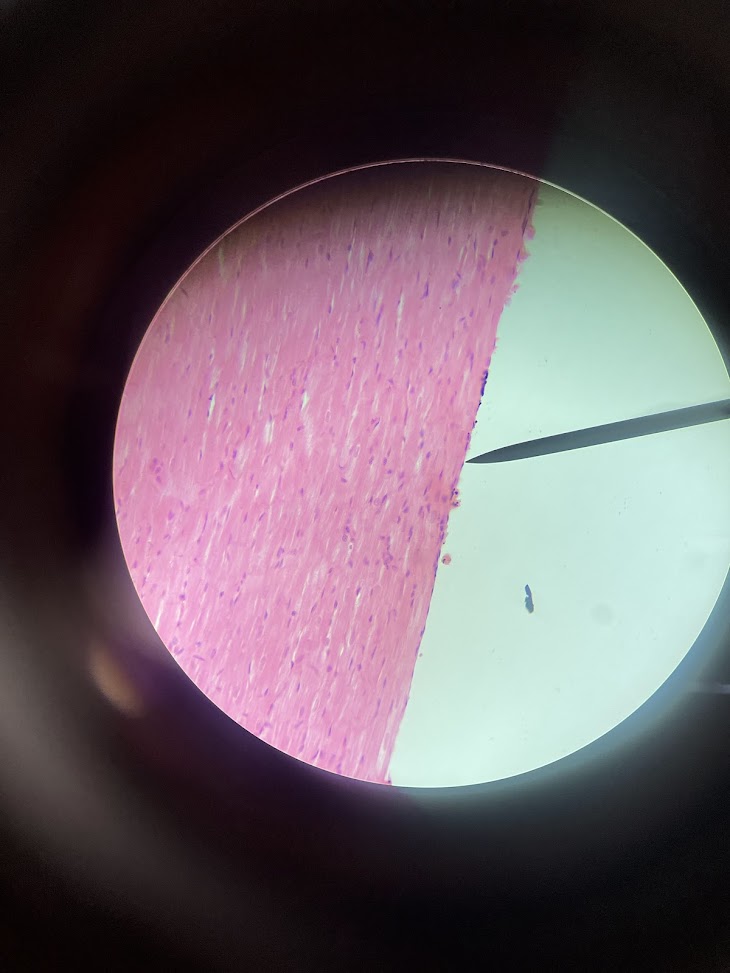 <p>structure name + layer name</p>