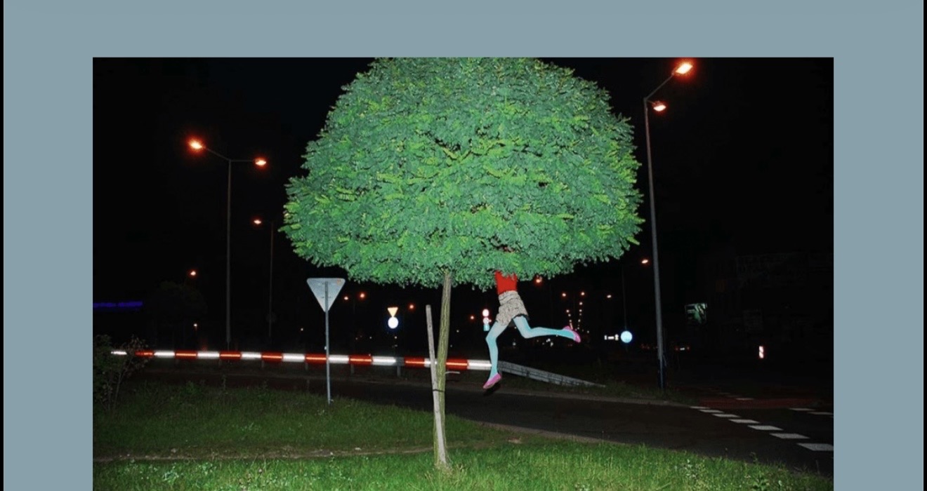 term image