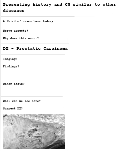 <p>Prostatic Carcinoma</p>