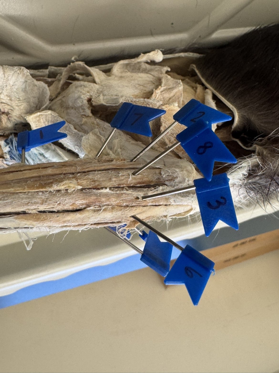 <p>Numbers:</p><p>1</p><p>7</p><p>2</p><p>6</p>