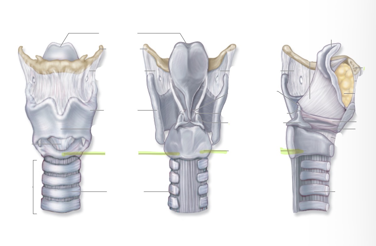 <p>what is this </p>