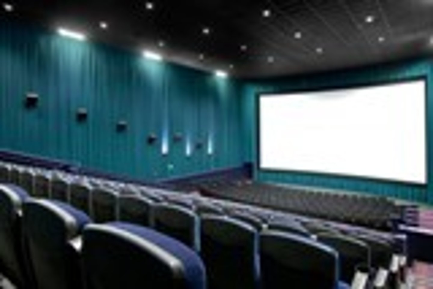 <p>I go to the movie theatre to see a movie.</p>