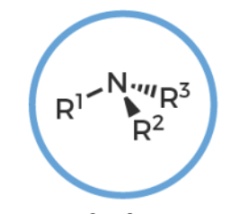 <p>what functional group is this? </p>