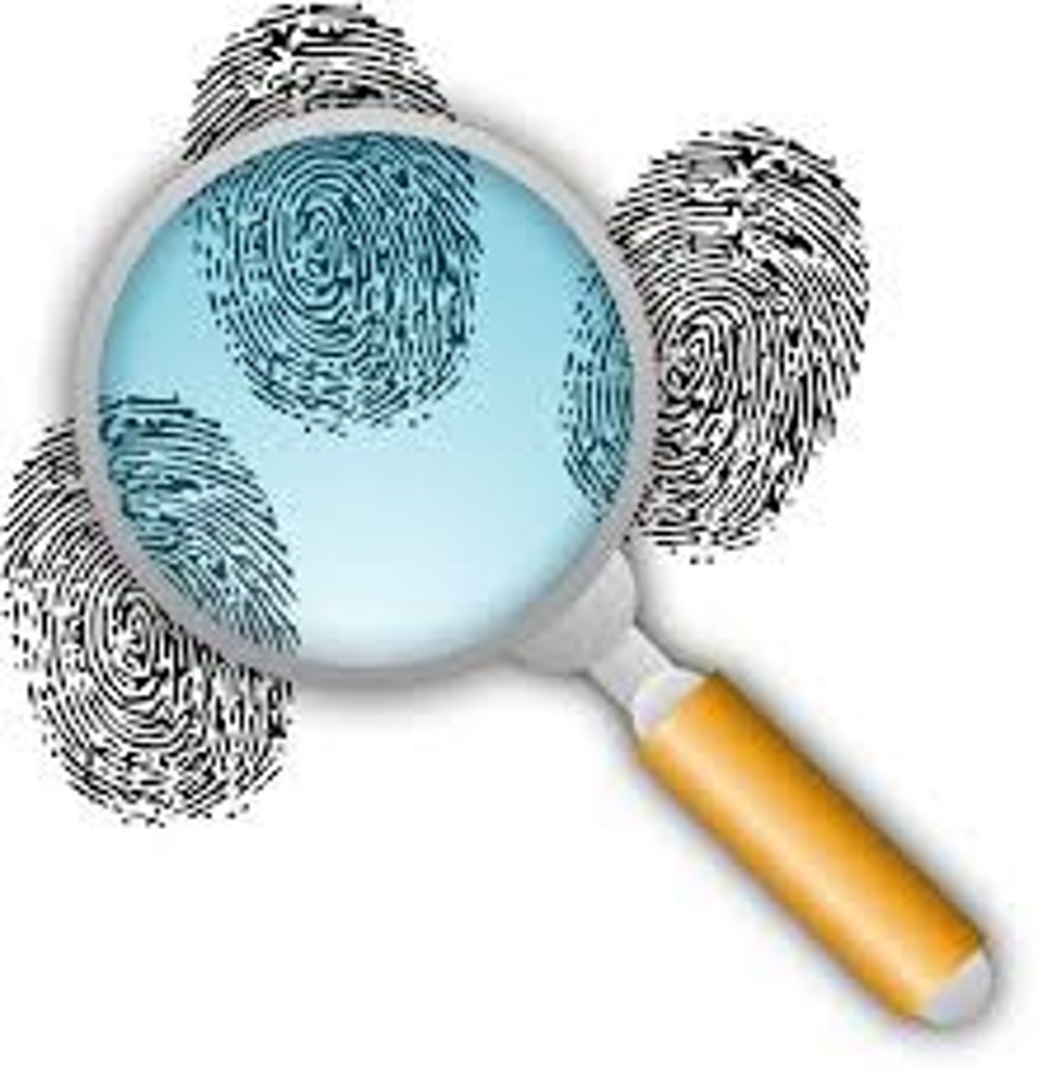 <p>(adj) rõ ràng, hiển nhiên, dễ thấy = obvious = clear</p>