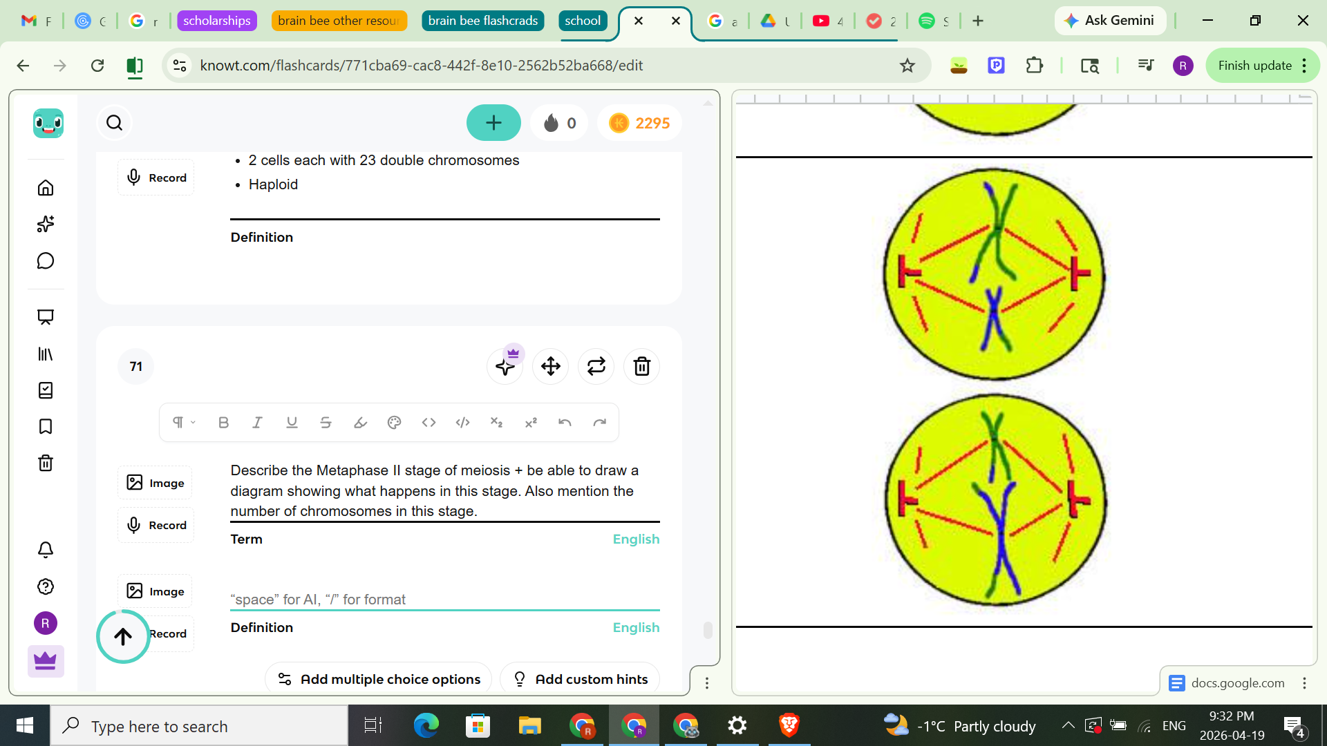 <ul><li><p><span style="background-color: transparent;">In meiosis 2- sister chromatids separate process&nbsp;</span></p></li><li><p><span style="background-color: transparent;">The spindle, attached to the centromeres, moves the sister chromatids so that they line up in the middle of the cell</span></p></li></ul><p><u>Chromosome number</u>:</p><ul><li><p>2 cells each with 23 double chromosomes</p></li><li><p>Haploid</p></li></ul><p></p>