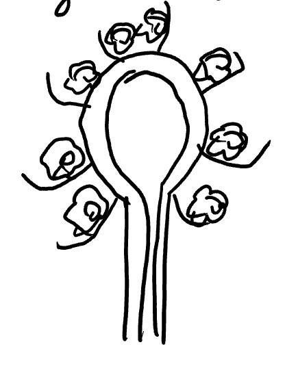 term image