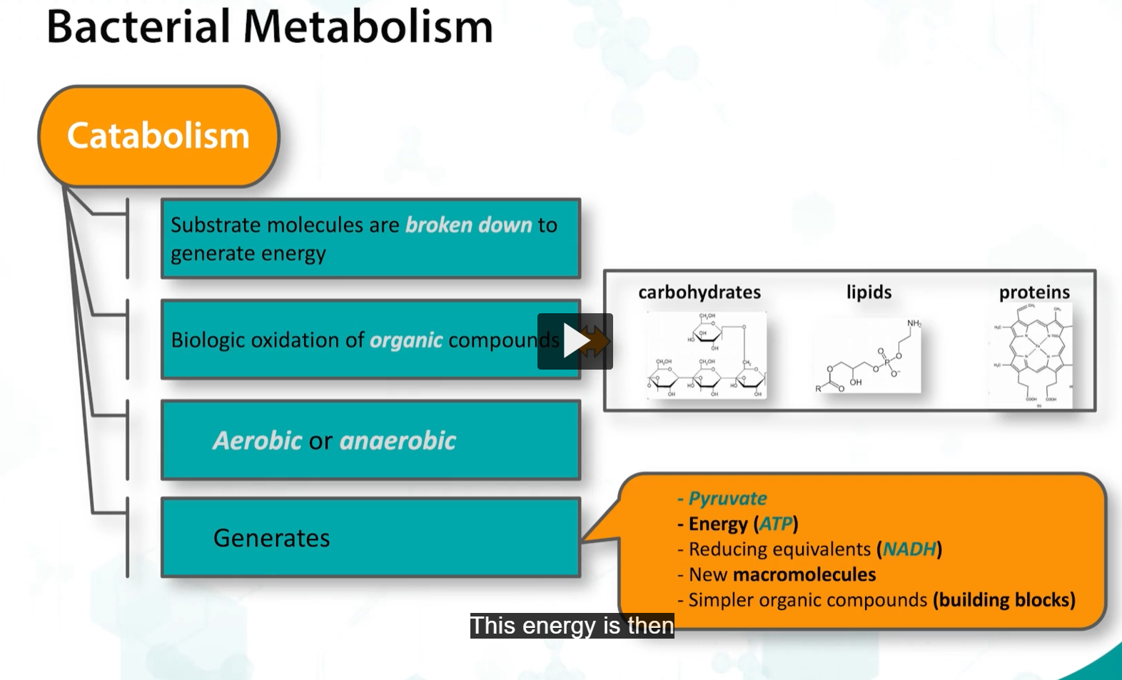 <p>This <strong>energy </strong>(from catabolism) is utilized during <strong>anabolism</strong>, which refers to the <strong>synthesis </strong>of <strong>macromolecules</strong> need for <strong>growth</strong> and <strong>proliferation</strong> of <strong>bacteria</strong>. </p><p>This process requires a variety of precursors, building blocks, and energy compounds. </p>