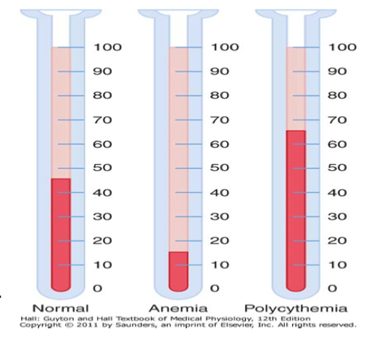<p>general increase in red blood cells (erythremia)</p>