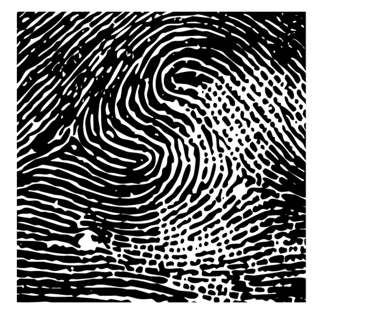 term image