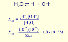 <p>[products]/[reactants]</p>