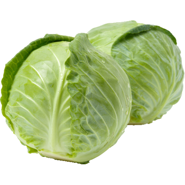 <p>Cabbage, Green</p>