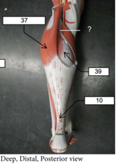 <p>? (on diagram)</p>