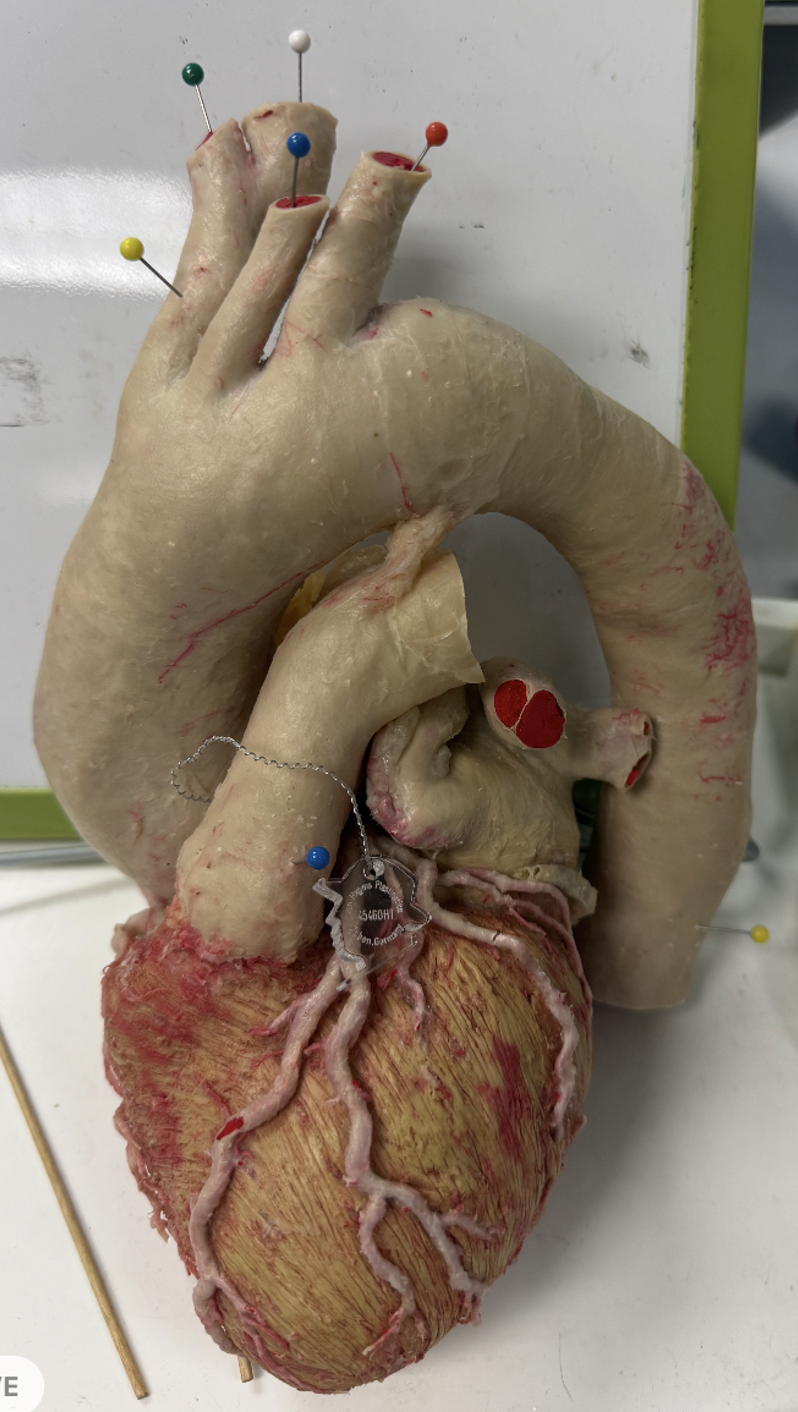 <p>What is the structure of the white pin?</p>