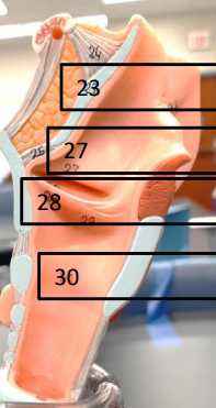 <p>Label this image.</p>