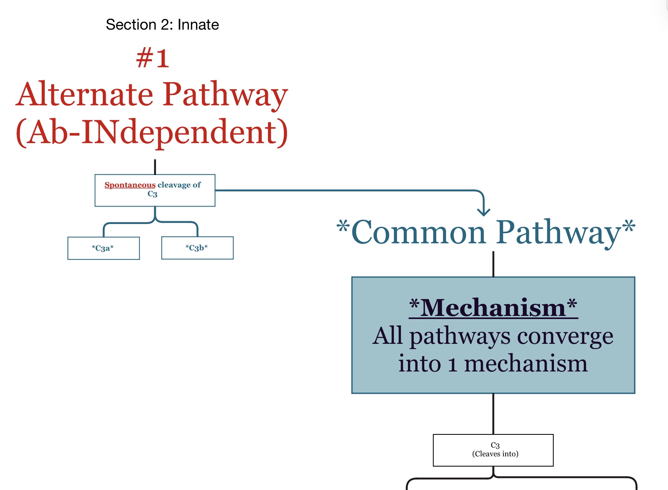 <p><span><strong><span>Which immune system branch is the alternative pathway associated with?</span></strong></span></p>