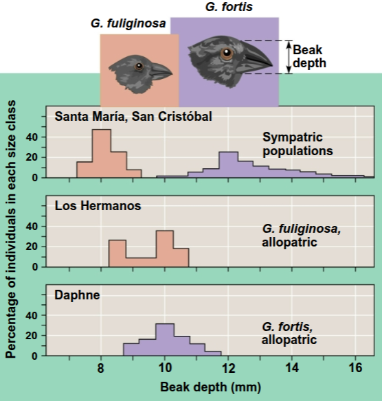 <p>State what is this graph is, and explain what it is illustrating:</p>