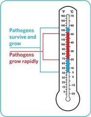 <p>Salmonella (Typhi), Salmonella (common), Shigella, E. coli, Hepatitis A, Norovirus.</p>