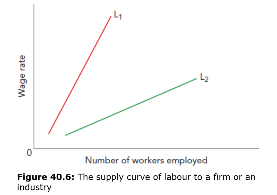 <p>L1 = inelastic to wage rate changes
L2 = elastic to wage rate changes</p>