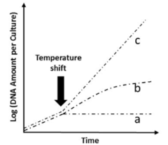 <p>c is WT, b is dnaA, a is dnaB (dnaB mutants immediately have no more DNA once temp changes)</p>