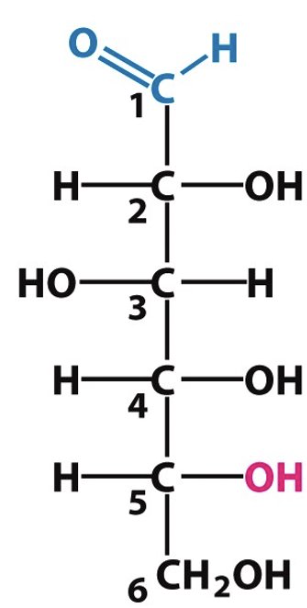 <p>Label the following as either D or L configuration:</p>