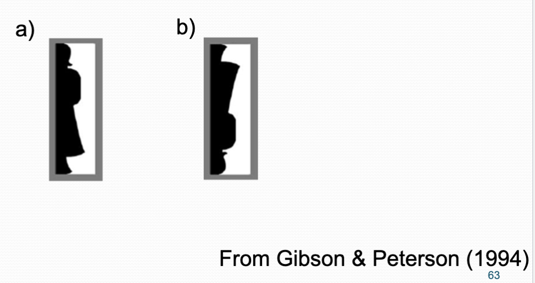 <p>As a) is in a familiar orientation it is easier to segregate it from the background than in b)</p><ul><li><p>once we see it, we cannot unsee it</p></li></ul><p></p>