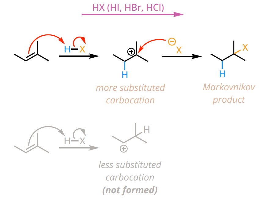 <ul><li><p>regiochemistry: Markovnikov</p></li><li><p>intermediate: Carbocation, rearrangements possible</p></li><li><p>stereoselectivity: None, racemic if chiral center forms</p></li><li><p>reagents: HX (HCl, HBr, HI)</p></li><li><p>add H to the alkene C that produces the most stable carbocation (least substitutions) </p></li></ul><p></p>