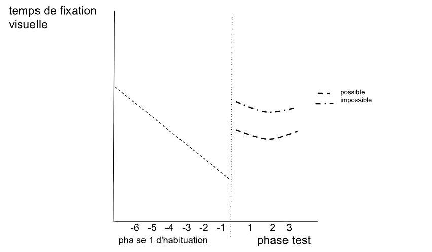 <ul><li><p>phase d’habituation: le temps moyen de fixation visuelle diminue progressivement au fur et à mesure de la présentation de l’événement</p></li><li><p>phase test: les bébés regardent plus longtemps l’événement impossible que l’événement possible quel que soit l’essai</p></li><li><p>les bébés sont surprises de l’événement impossible, une réaction à l’étranger, ils ont acquis la permanence de l’objet</p></li></ul><p></p>