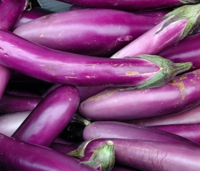 <p>Purple</p>