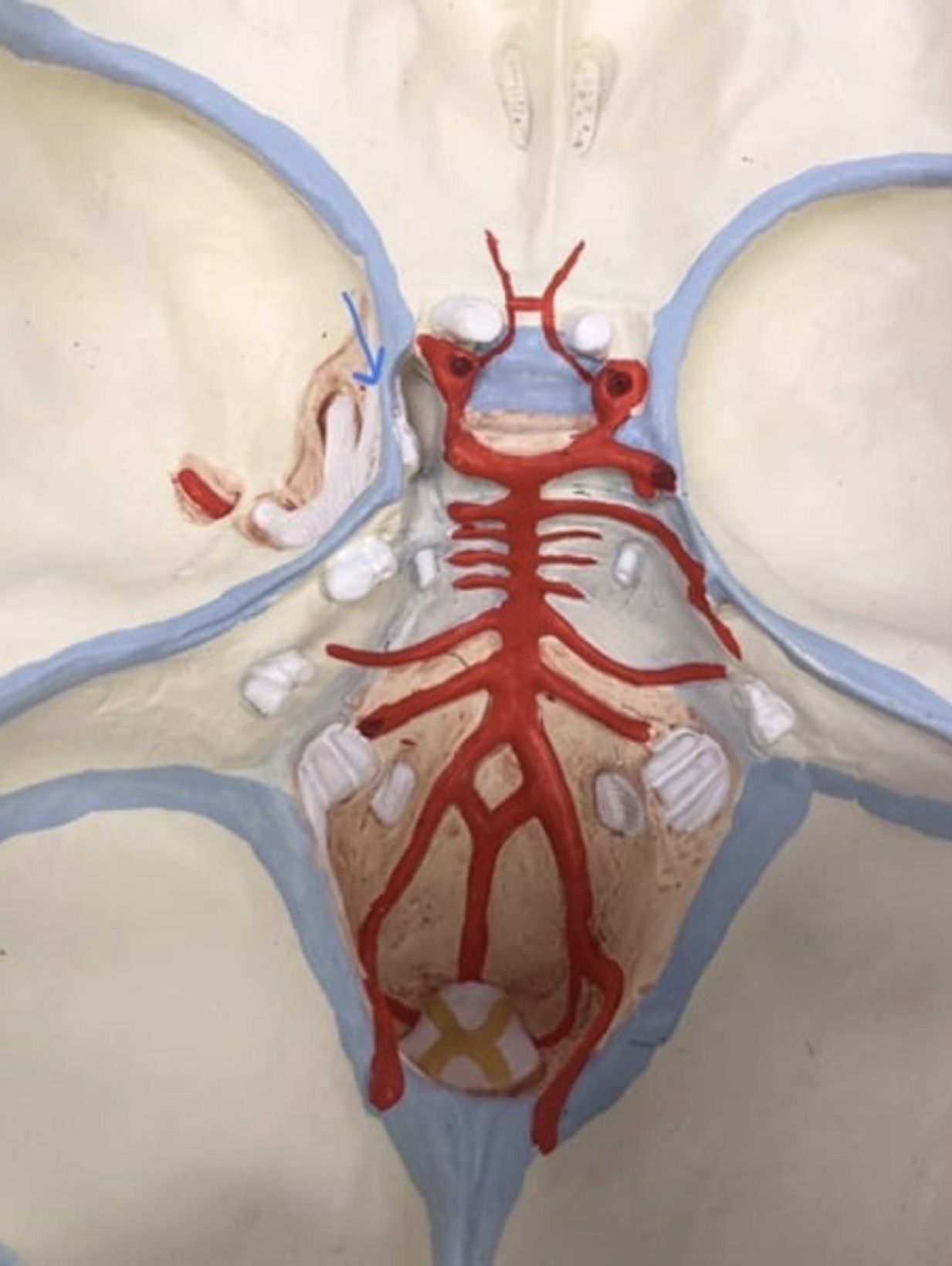 knowt flashcard image