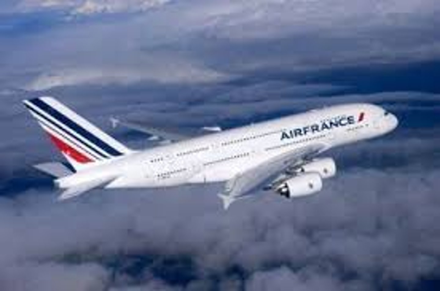 <p>We went by plane</p>