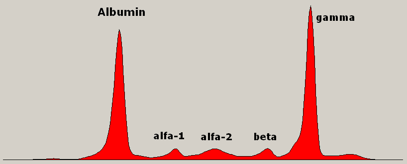 <p>cancer</p>