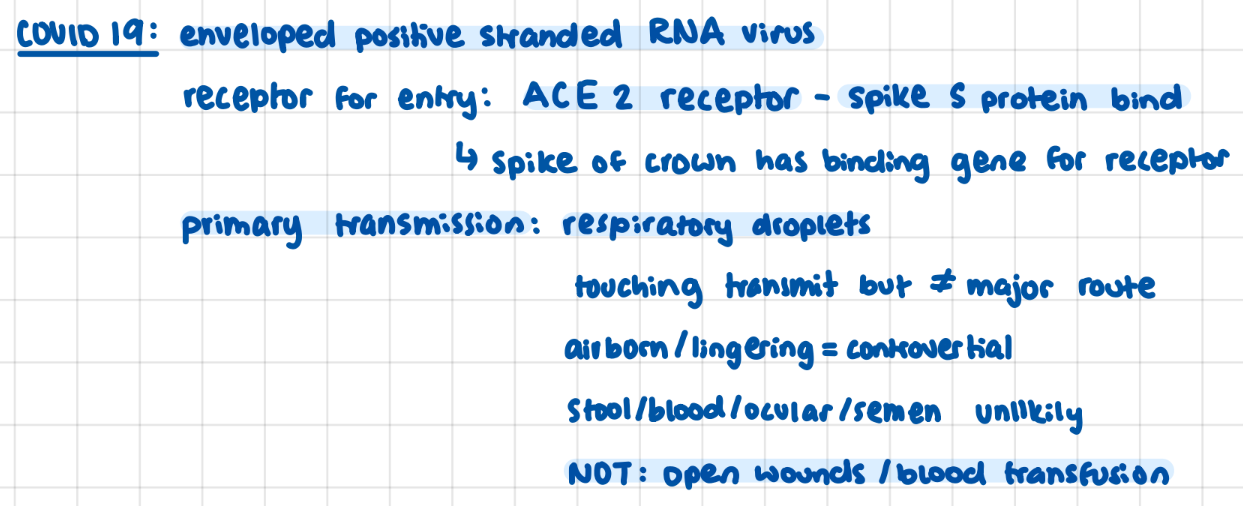 <p>enveloped positive stranded RNA</p><p>spike S protein bind to ACE 2 receptors</p>
