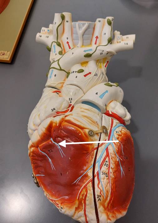 <p>32</p>