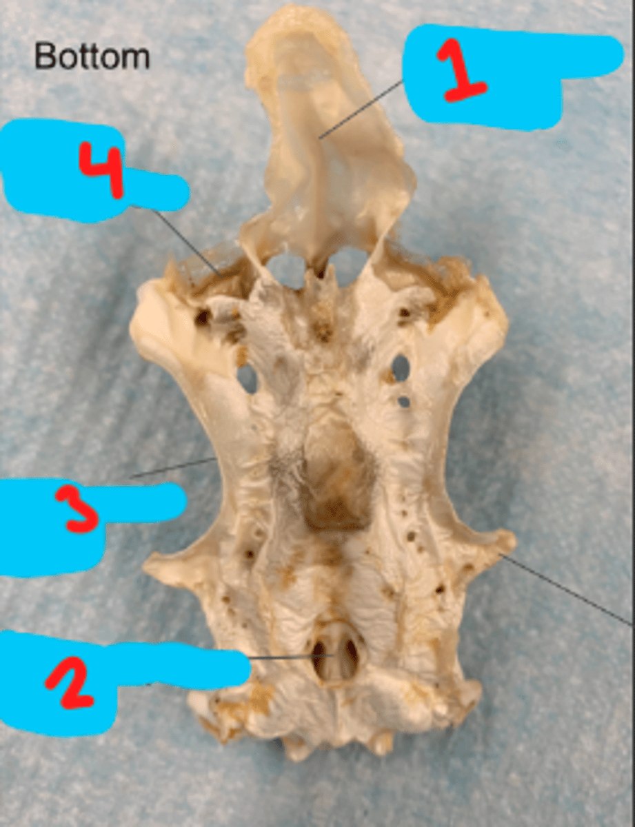 <p>what is 4?</p>