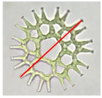 <p><span style="background-color: transparent;"><strong>Assuming I take the following picture at 40X, and measure my area of interest to have 75 pixels. What is this length in µm? (Assume pixel/um ratio is 1.5) </strong></span></p><p><span style="background-color: transparent;">(Lecture #5-6 Questions)</span></p>