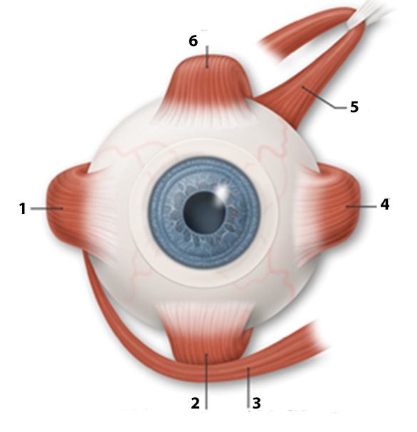 <p>2</p>