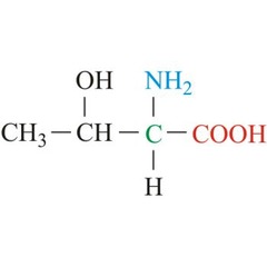 <p>Threonine</p><p>1 Letter: T</p><p>3 Letters: Thr</p><p>Non-charged</p><p>Polar</p>
