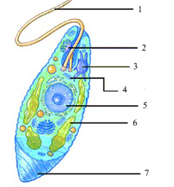 <p>What is #3?</p>